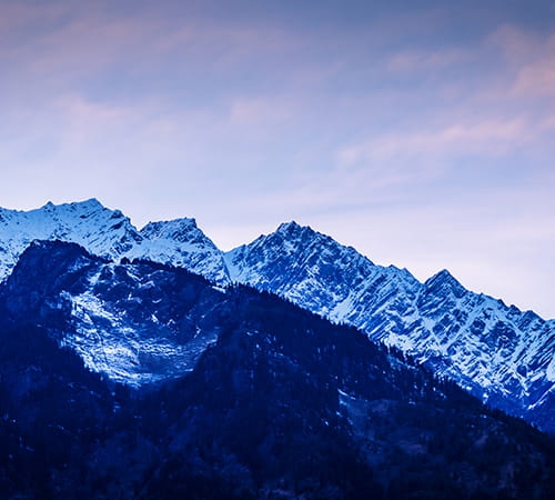 THE SWEET MIST OF MANALI